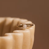 Cremation Small Circle Ring - 14k Gold Filled
