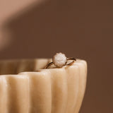 Mothers Milk Crown Ring - 14k Gold Filled