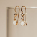 Cremation Drop Fish Hook Earrings - 14k Gold Filled