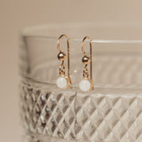 Cremation Drop Fish Hook Earrings - 14k Gold Filled
