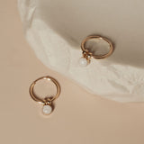 Cremation Hoop Earrings- 14K Gold Filled