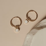 Cremation Hoop Earrings- 14K Gold Filled