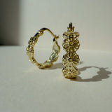 The Golden Hour Hoops - 14k Gold Filled