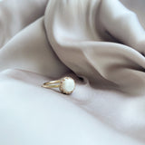 Mothers Milk Crown Ring - 14k Gold Filled