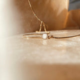 Cremation Snake Chain Necklace- 14k Gold Filled