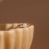 Cremation Double Band Circle Ring - 14k Gold Filled