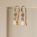 Cremation Drop Fish Hook Earrings - 14k Gold Filled