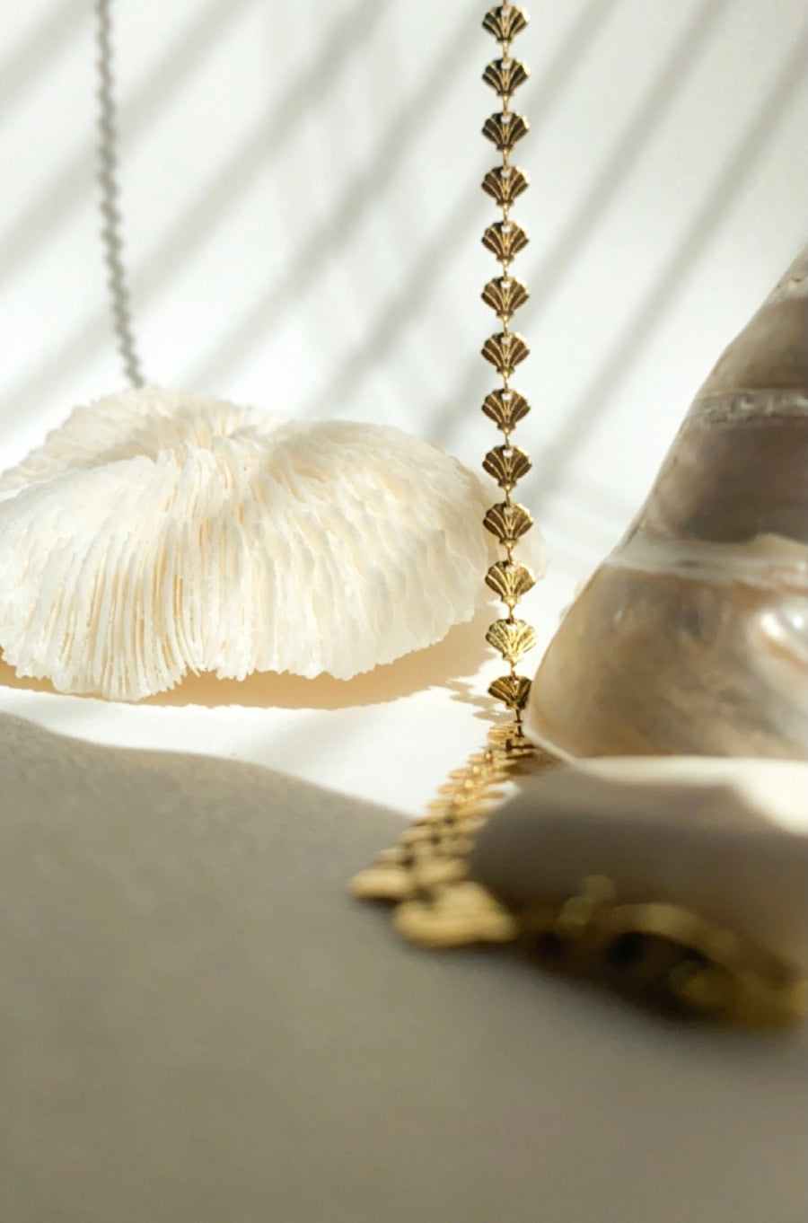 Seashell Anklet - 14k Gold Filled